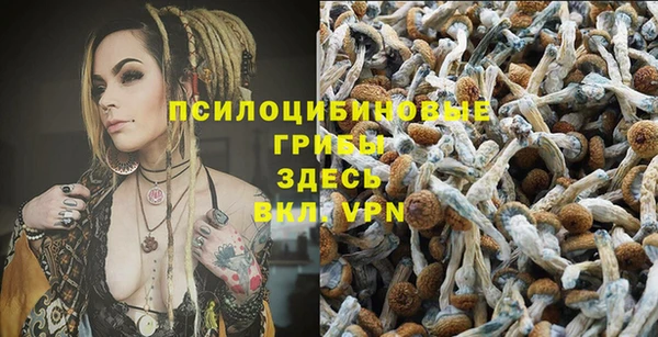 МДМА Армянск