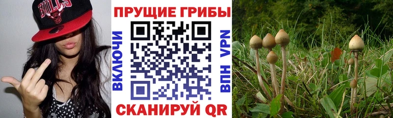 Псилоцибиновые грибы ЛСД  купить  сайты  Ростов 
